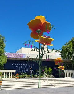 Virtual Herbaria augmented reality app, site-specific to the California Institute of the Arts campus