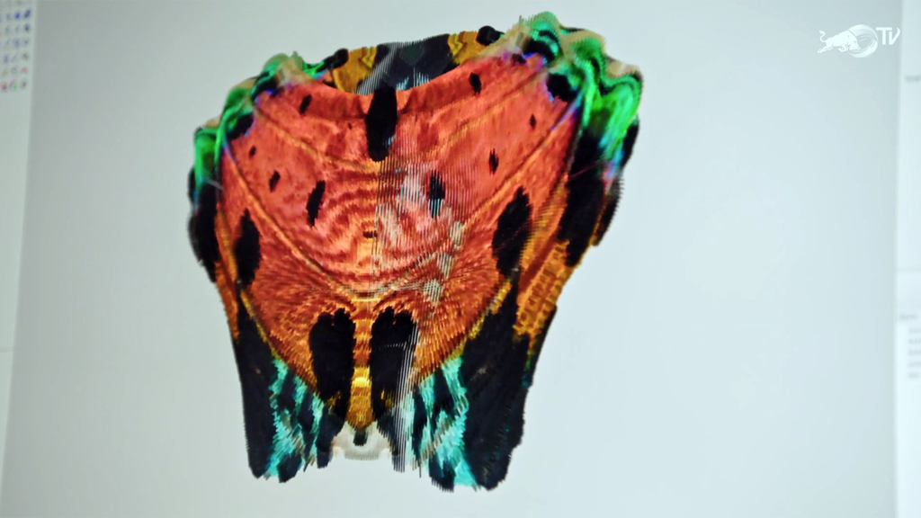3D printed jacket based on a butterfly