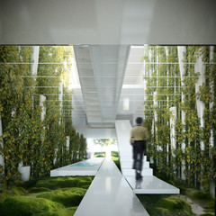 Windsor Residence, 2nd Prize Winner, International Competition; garden level view