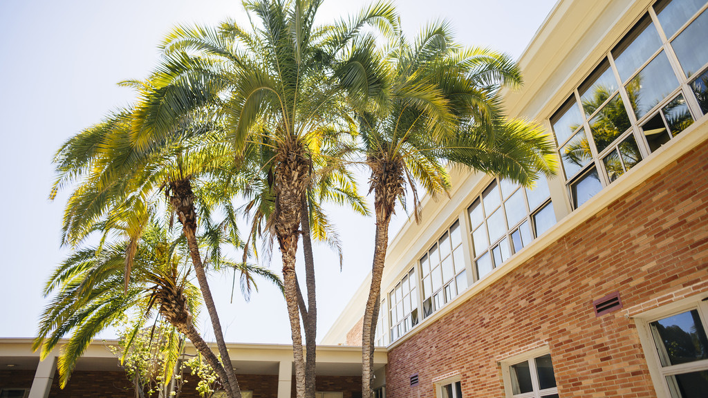 Image of palm trees in front of Perloff Hall, a large red-brick building